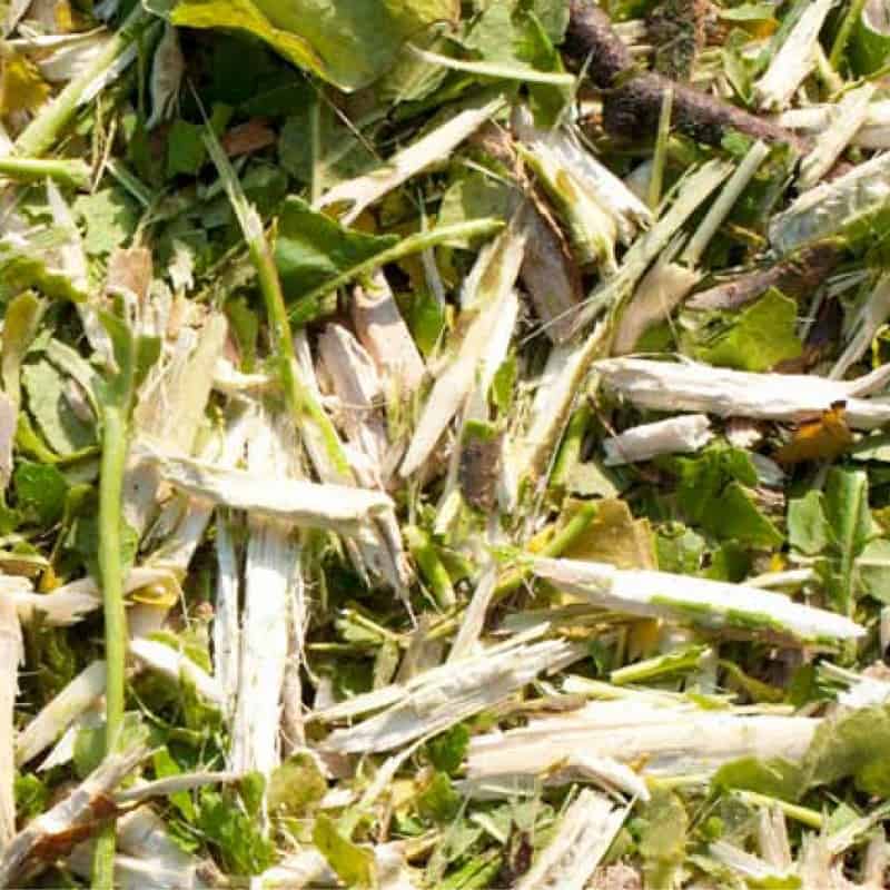 Trituradora eléctrica DESTROI MINIUM